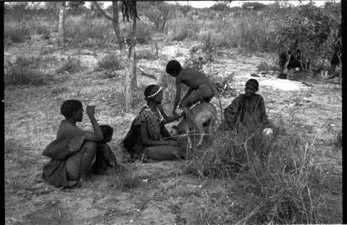 Four people sitting together