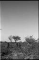 Three boys playing dʒani