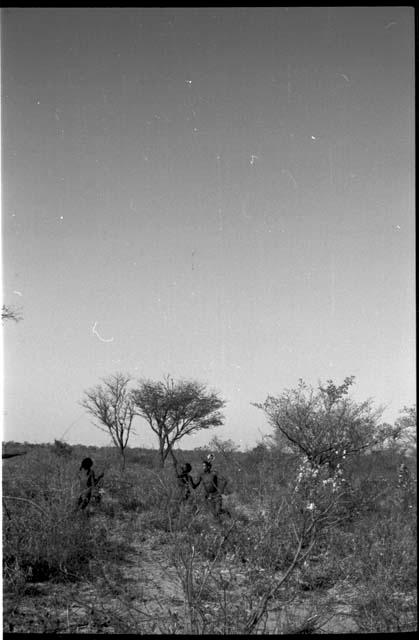 Three boys playing dʒani