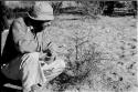 Robert Story crouching beside a plant