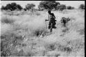 /Twikwe and DaSi!Na gathering tsama melons in a field