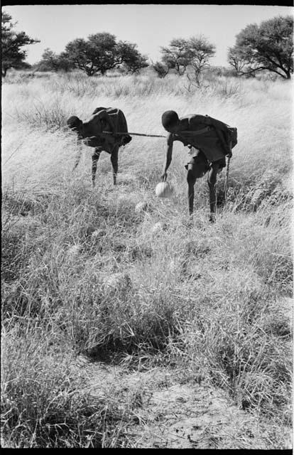 /Twikwe and DaSi!Na gathering tsama melons in a field