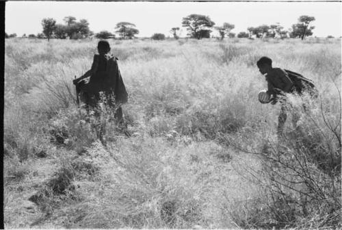 /Twikwe and DaSi!Na gathering tsama melons in a field