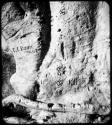 Names carved on the trunk of a baobab tree (copy of color stereo slide 2001.29.5350)