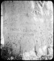 Names carved on the trunk of a baobab tree (copy of color stereo slide 2001.29.5352)