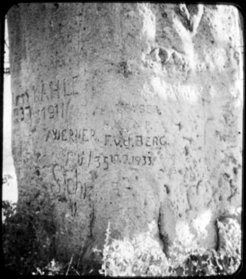 Names carved on the trunk of a baobab tree (copy of color stereo slide 2001.29.5352)