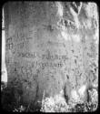 Names carved on the trunk of a baobab tree (copy of color stereo slide 2001.29.5352)