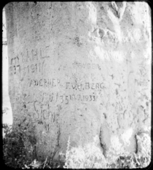 Names carved on the trunk of a baobab tree (copy of color stereo slide 2001.29.5352)