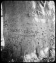 Names carved on the trunk of a baobab tree (copy of color stereo slide 2001.29.5352)