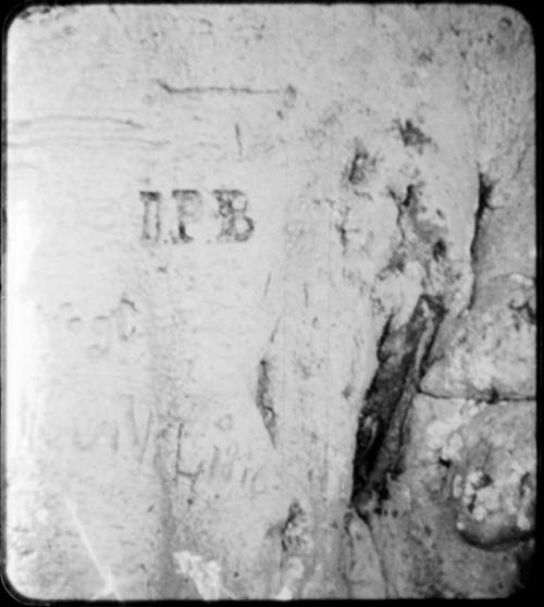 Names carved on the trunk of a baobab tree (copy of color slide 2001.29.5353)