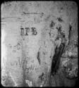 Names carved on the trunk of a baobab tree (copy of color slide 2001.29.5353)