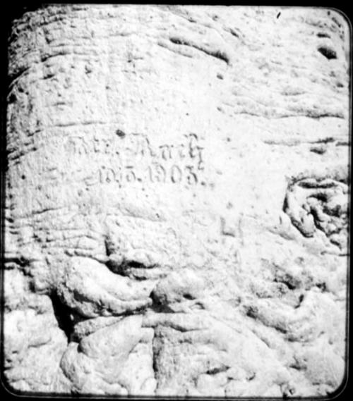 Name and date "Rush 10.13.1903" carved in the trunk of a baobab tree, close-up (copy of negative 2001.29.14662)