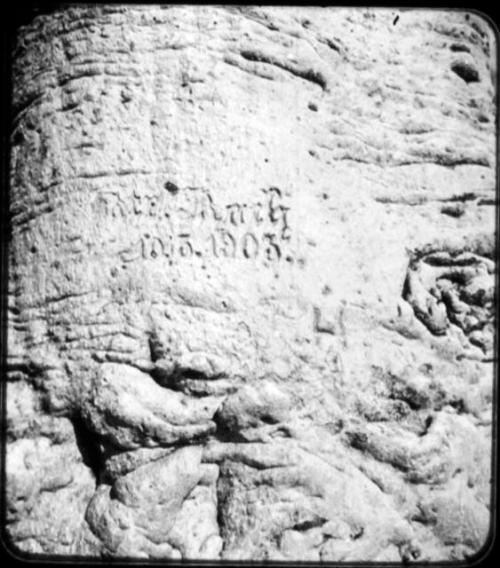 Name and date "Rush 10.13.1903" carved in the trunk of a baobab tree, close-up (copy of negative 2001.29.14662)