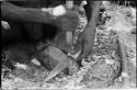 Person pounding a knife against a stone with a stick