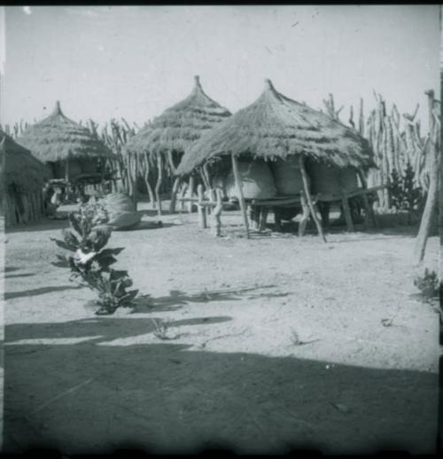 Storage baskets on platforms and covered with thatched roofs, inside kraal