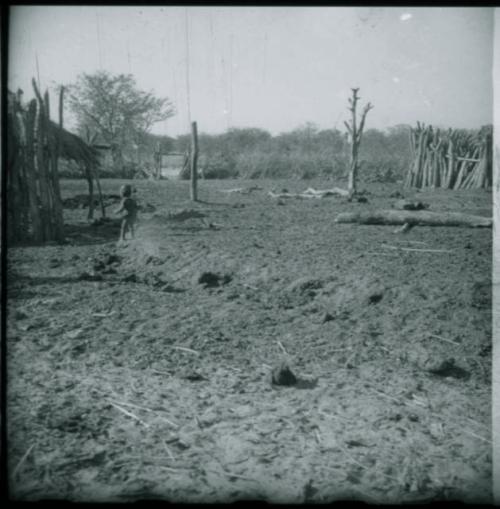 Child standing inside the kraal, showing gate, thorn fence and stockade