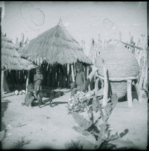 Children sitting and standing with a goat near storage huts inside kraal