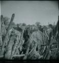 People standing inside their kraal