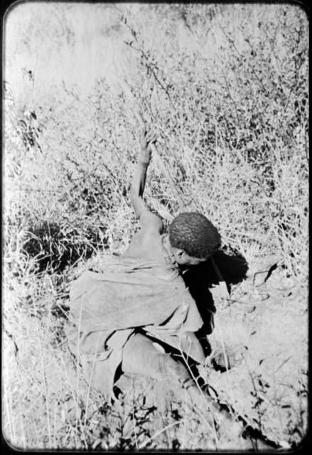 Woman digging, her digging stick in her left hand, pulling sand out of a hole with her right hand