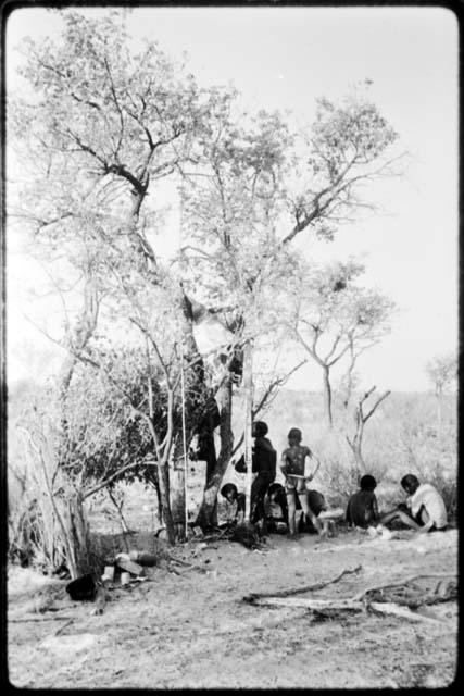 People sitting and standing near ≠Toma's skerm, with rattles hanging from it (copy of color slide 2001.29.7844)