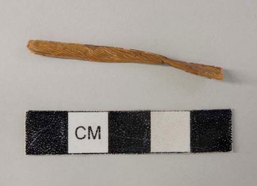 Sample of yucca strip removed from sandal 33-3-10/268 for analysis