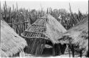 Hut, partly finished, and wall of wooden poles in the background