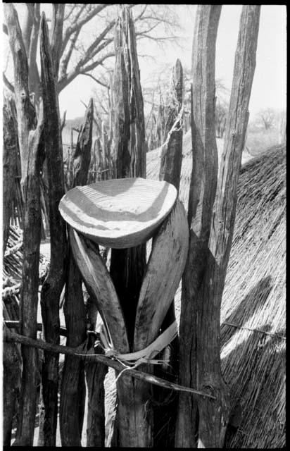 Woven, winnowing basket resting on two fence poles