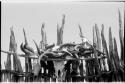 Ceremonial collection of cattle horns and skull on a fence