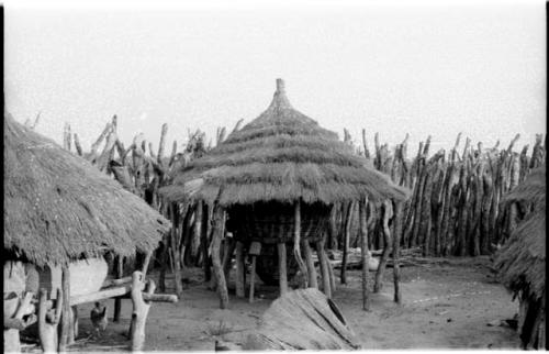 Large storage basket in a Hinga kraal supported by wooden poles underneath a thatched roof