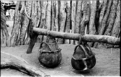 Churns made from gourds suspended from a pole in a Hinga kraal