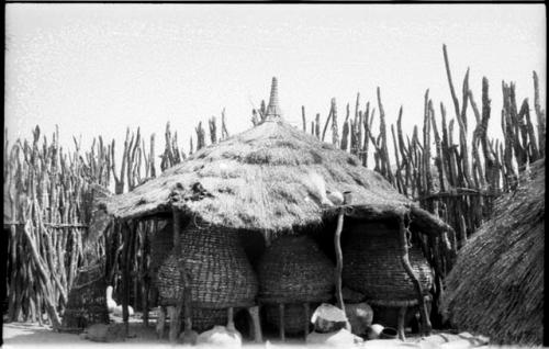 Large storage baskets supported by poles under a thatched roof in an Ombandia kraal