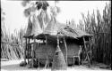 Large storage baskets supported by poles under a thatched roof in an Ombandia kraal; several fish baskets are on the roof and one is on the ground; palm tree in the background