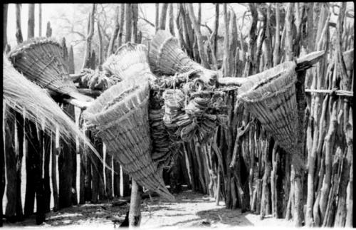 Fish baskets and fiber cord suspended on a fence in an Ombandia kraal