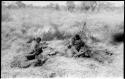 Four Ju/'hoan men digging for poison beetle larva with digging sticks