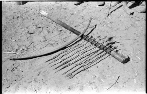 Bow and eight feathered arrows with metal or wood points in a Hinga kraal