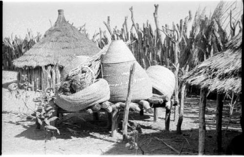 Nets and storage baskets on a platform, a thatched roof on poles, a tobacco plant, and a hut in the background