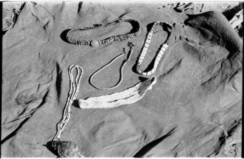 Two headbands, belt, tortoise shell, and strings of beads displayed on a kaross