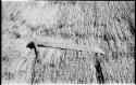 Machete displayed on a thatched roof