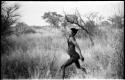 "Gao Medicine" throwing an assegai