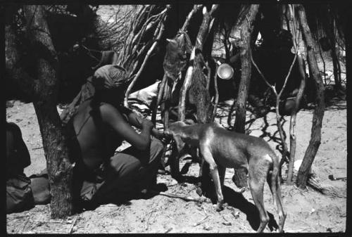 Tama with a dog at a skerm, placing holes in ground