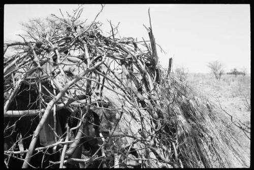 Arrangement of branches on one of the skerm extensions