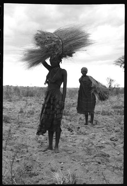 One woman carrying grass on top of her head, another woman with a bundle in a kaross over her shoulder