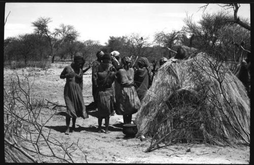 Group of people performing the Eland Dance; group of women standing by a skerm; men holding wooden horns to their heads