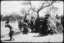 Women performing the Eland Dance, with some standing in front of a skerm, singing and clapping, and others dancing around the skerm (copy of color slide 2001.29.8649)