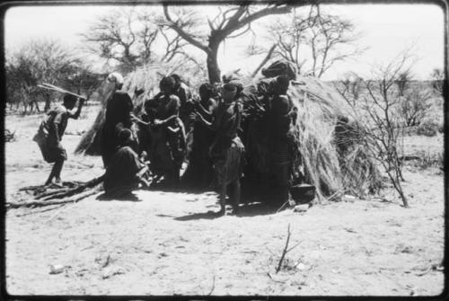 Women performing the Eland Dance, with some standing in front of a skerm, singing and clapping, and others dancing around the skerm (copy of color slide 2001.29.8650)