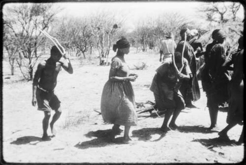 Twi, ǂKxoba and /Gaishay performing the Eland Dance, Twi and /Gaishay are wearing horns and Twi is imitating eland motions (copy of color slide 2001.29.8656)