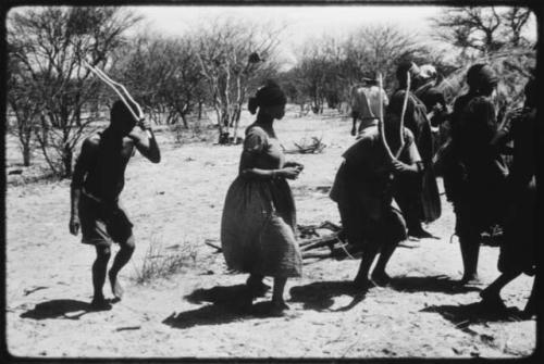 Twi, ǂKxoba and /Gaishay performing the Eland Dance, Twi and /Gaishay are wearing horns and Twi is imitating eland motions (copy of color slide 2001.29.8656)