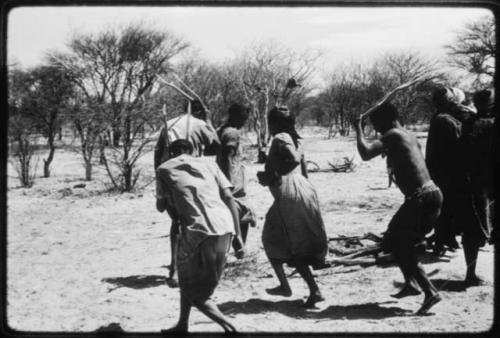 People performing the Eland Dance, with Twi imitating the sideways motion of an eland's hind legs and playing up to ǂKxoba (copy of color slide 2001.29.8657)