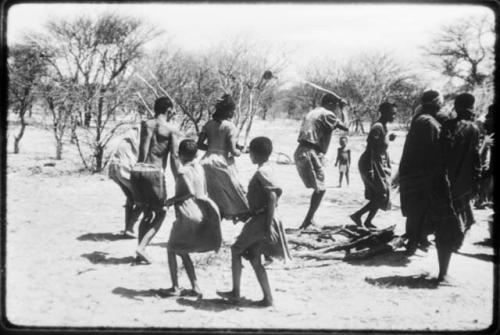 People performing the Eland Dance, with Twi imitating the sideways motion of an eland's hind legs and playing up to ǂKxoba (copy of color slide 2001.29.8658)