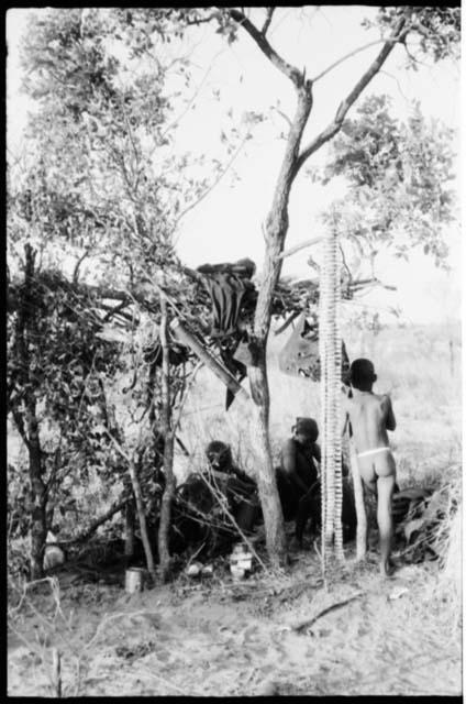 People sitting and standing next to a skerm, and rattles hanging in a tree next to it (copy of color slide 2001.29.7846)